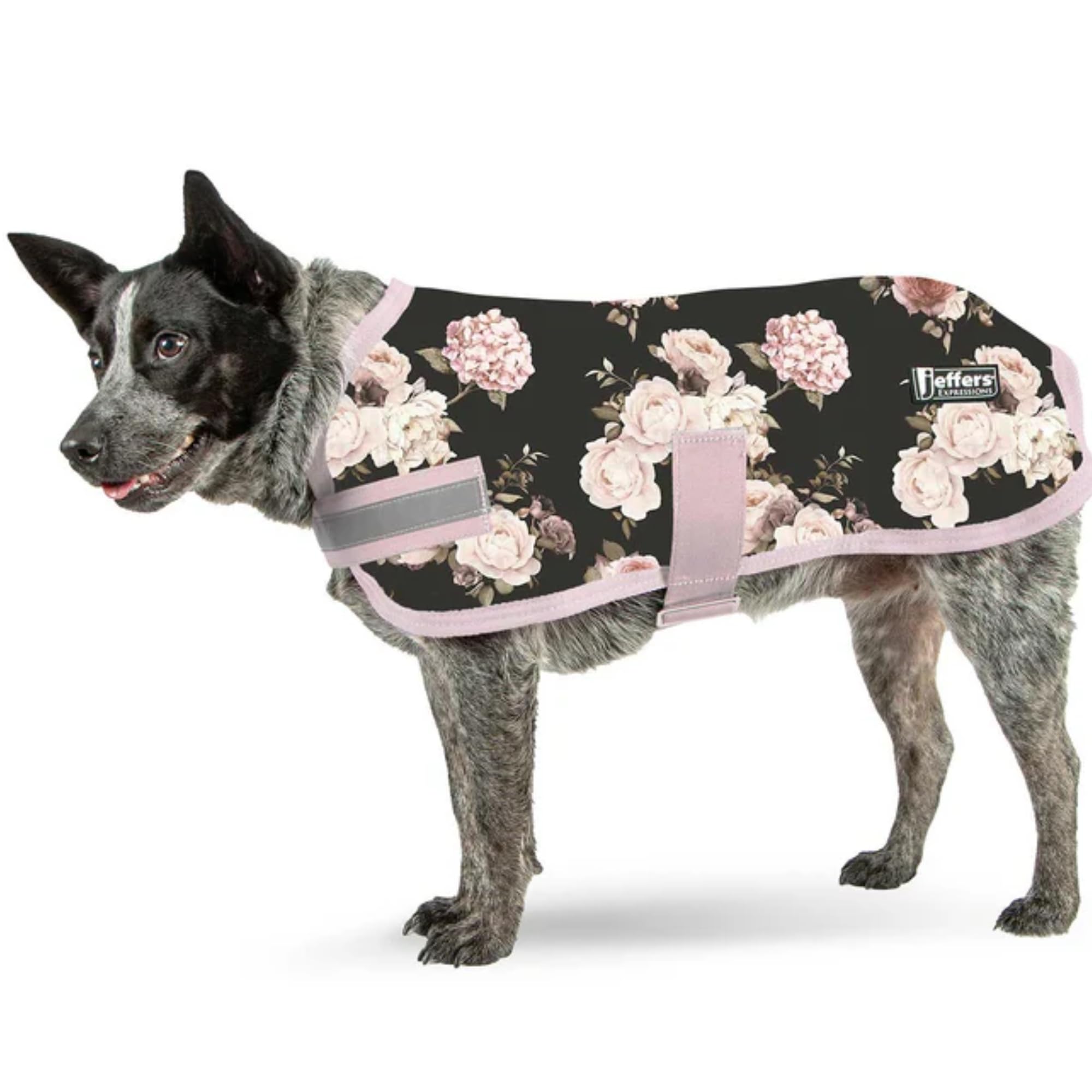 Amazon.com: Jeffers Expression Dog Coat Waterproof Ripstop Winter